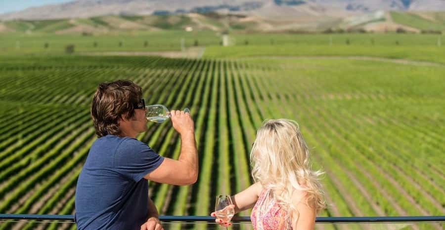Marlborough: Wineries Visit with Tastings and 2-Course Lunch - Four wineries across Marlborough’s open wine country