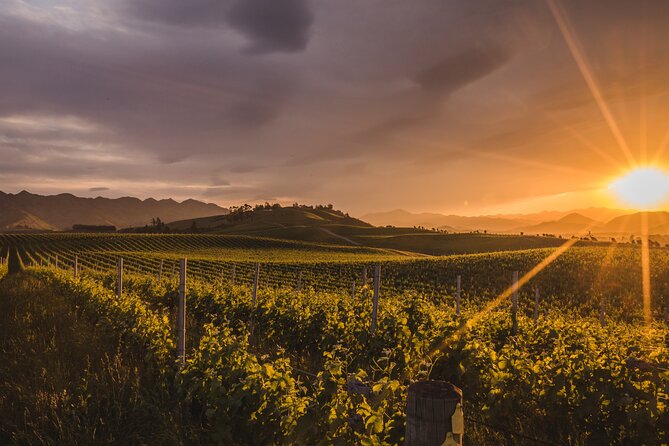 Marlborough Winery Tour - A Day of Cuisine & Wine 6hrs - Why this Marlborough wine day works well