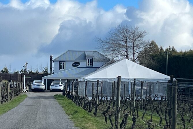 Martinborough Private Food and Wine Tour in Tesla SUV - Key points at a glance