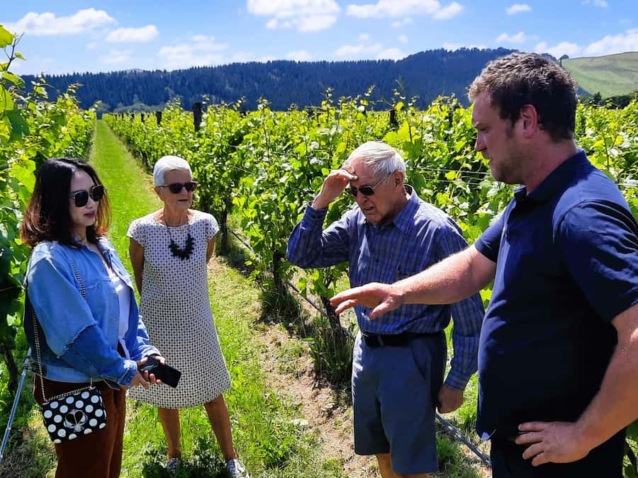 Martinborough Wine and Food Tour with Lunch from Wellington - Why this Wellington to Martinborough day works