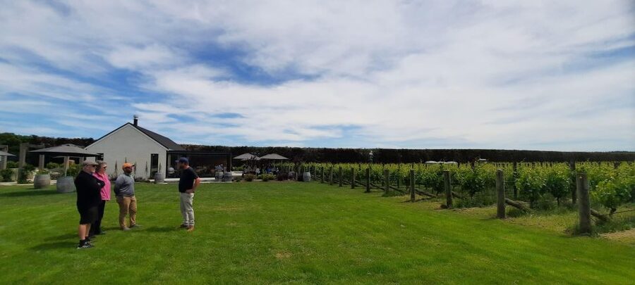Martinborough Wine and Food Tour with Lunch from Wellington - Martinborough vineyards and a countryside lunch