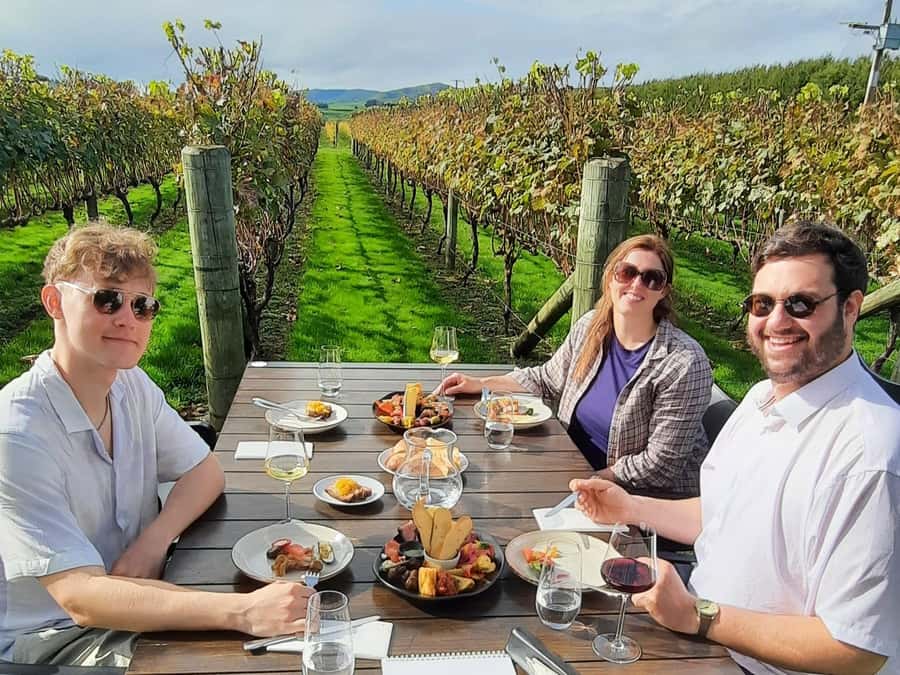 Martinborough Wine and Food Tour with Lunch from Wellington - Blue Earth Estate and the olive oil lesson