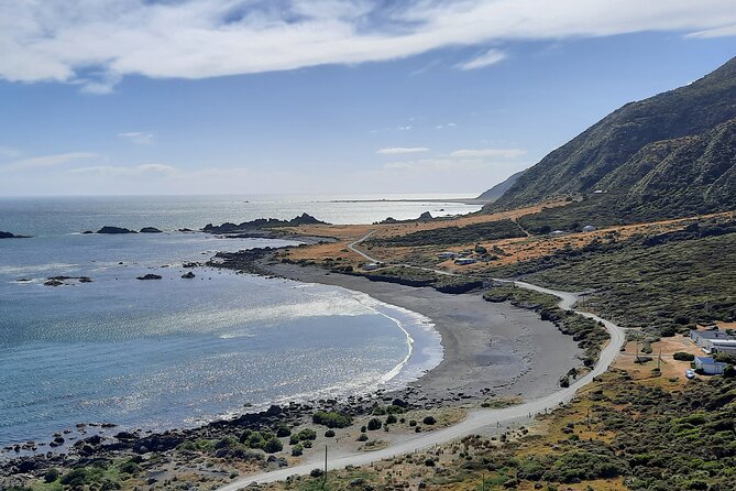 Martinborough Wine and Wild Coast Tour from Wellington - Why this Wellington day trip works