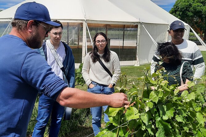 Martinborough Winery and Foodie Day Tour with vineyard lunch - Schoc Chocolates and the final taste test