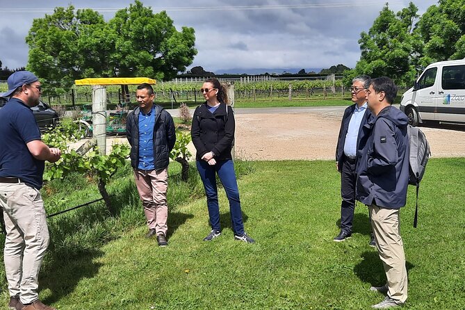 Martinborough Winery and Foodie Day Tour with vineyard lunch - Is the $197.34 price good value?