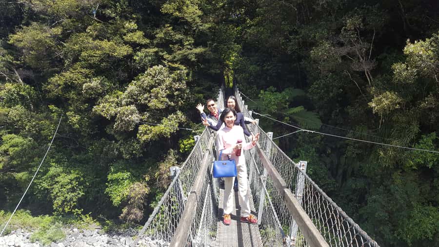 Martinborough Winery and South Wairarapa Wild Coast Tour - Key points at a glance
