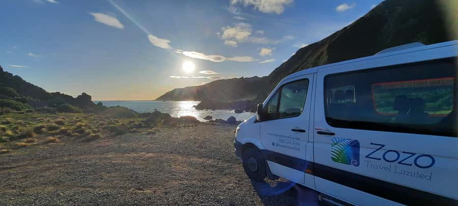 Martinborough Winery and South Wairarapa Wild Coast Tour - One day from rainforest to wine country to the sea