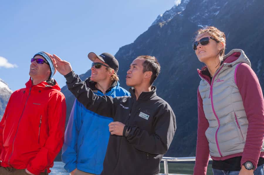 Milford Sound: 2-Hour Small Boat Scenic Cruise - Clear skies, heavy rain, and choosing the right departure