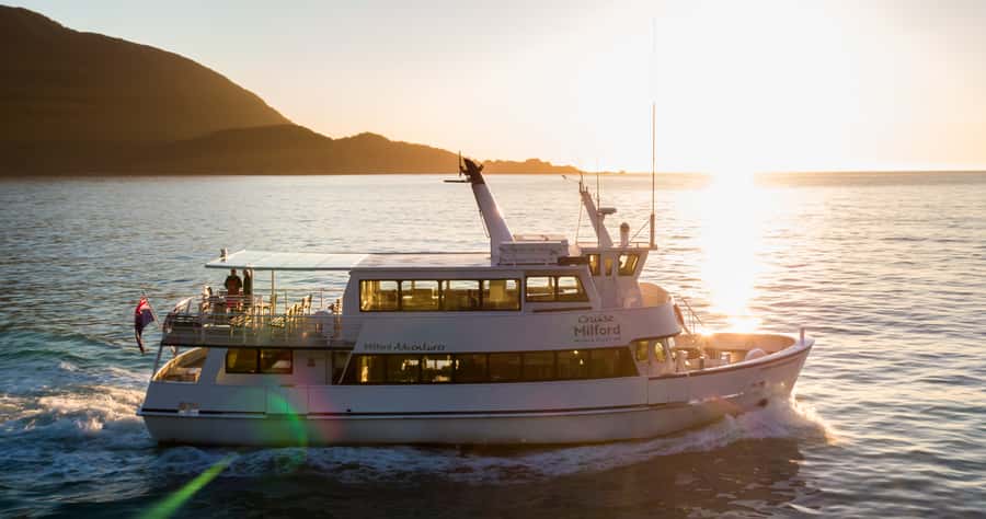 Milford Sound: Boutique Small-Boat Cruise - Wildlife sightings are a bonus, not the whole plan
