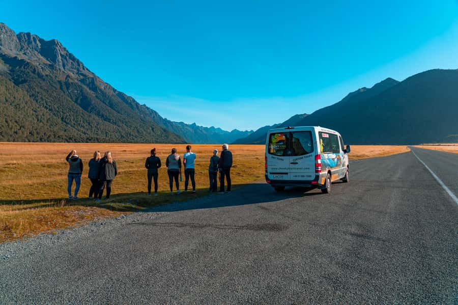 Milford Sound: Boutique Small-Boat Cruise - Price, timing, and the real value