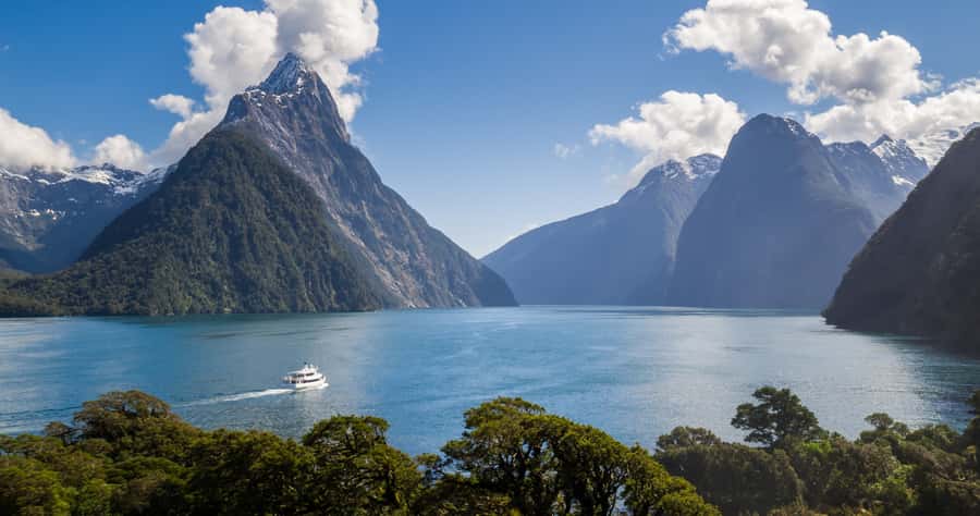 Milford Sound: Boutique Small-Boat Cruise - Who will get the most from this cruise