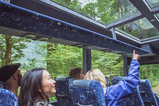 Milford Sound Coach and Cruise tour from Queenstown - Key points at a glance