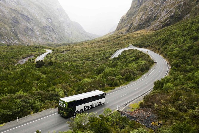 Milford Sound Cruise from Queenstown or Te Anau - Food, seating, and what to pack