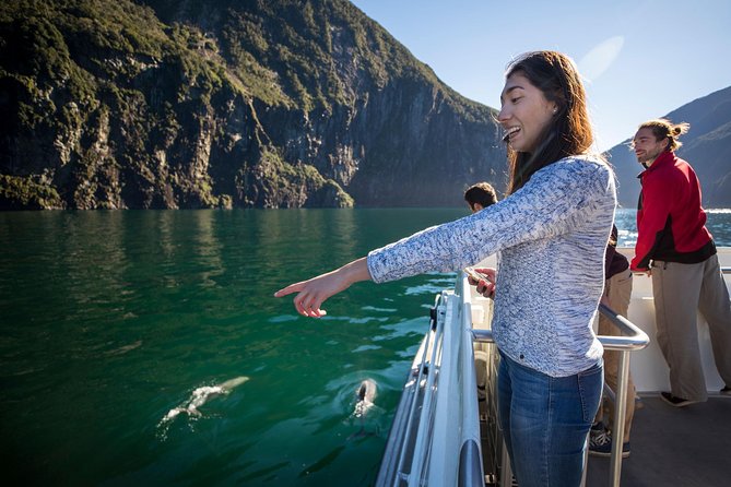 Milford Sound Cruise: Stunning Views & Optional Picnic or Buffet - Boat size, seating, and the best place to stand
