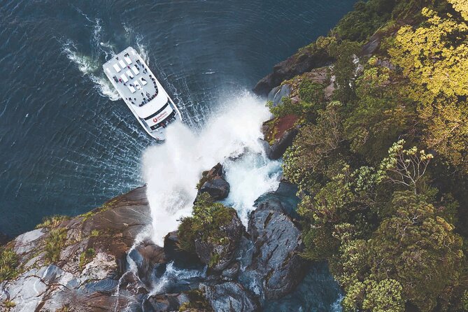 Milford Sound Day Tour from Te Anau - Key points to know before booking