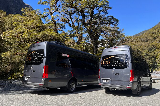 Milford Sound Full Day Tour from Te Anau with Cruise - Why the road from Te Anau matters