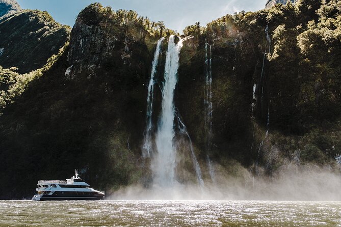 Milford Sound Luxury Lunch Cruise onboard The Fiordland Jewel - Wildlife spotting with the crew