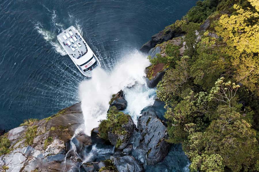 Milford Sound: Nature Cruise - Grand Views & Optional Lunch - Key points to know before booking