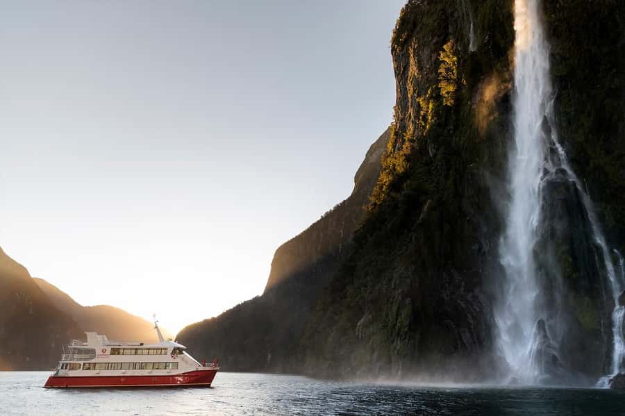 Milford Sound: Nature Cruise & Milford Track Walk - Who should book this experience?