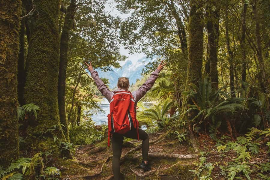 Milford Sound: Nature Cruise & Milford Track Walk - Choosing the 9am walk-first option