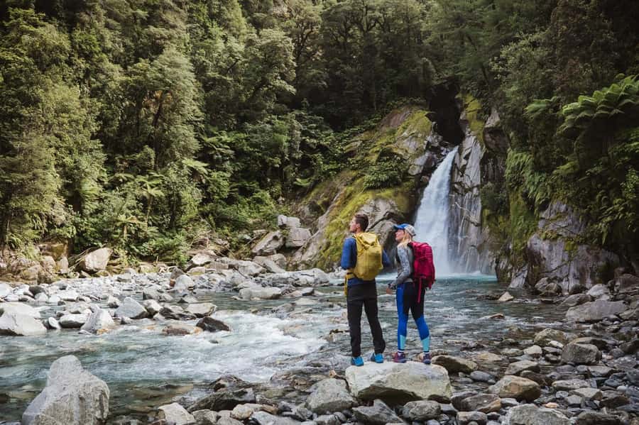 Milford Sound: Nature Cruise & Milford Track Walk - Choosing the 10:30am cruise-first option