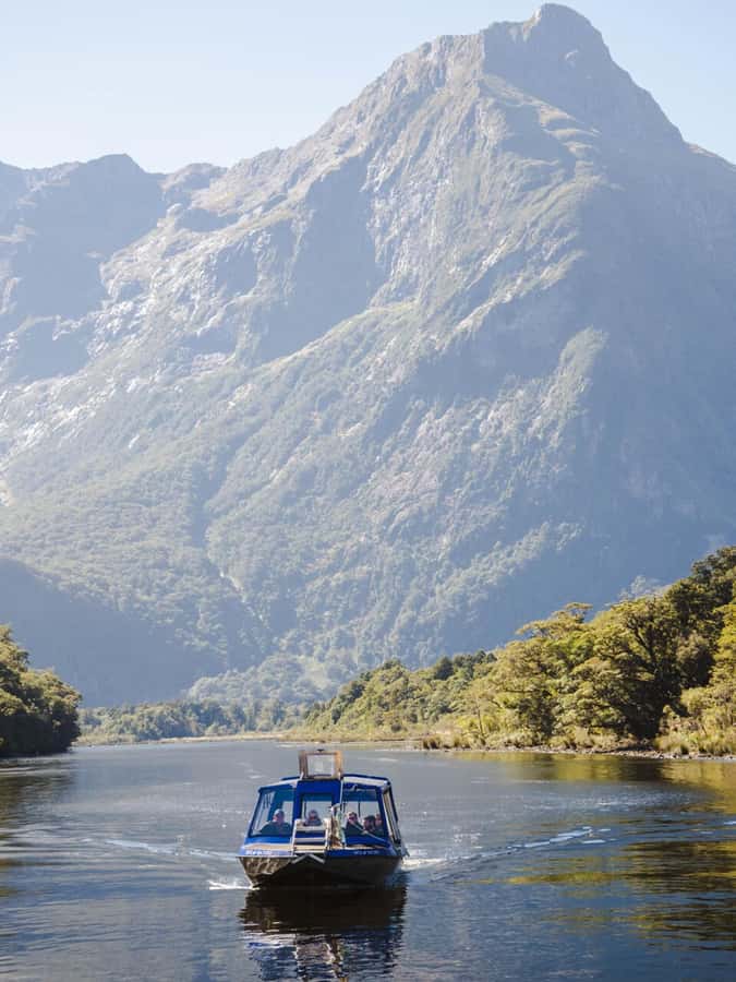 Milford Sound: Nature Cruise & Milford Track Walk - What the two-hour Milford Sound cruise is like