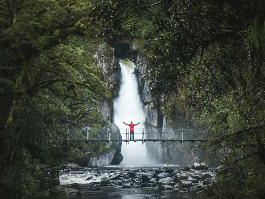 Milford Sound: Nature Cruise & Milford Track Walk - Comfort, food, and weather on board
