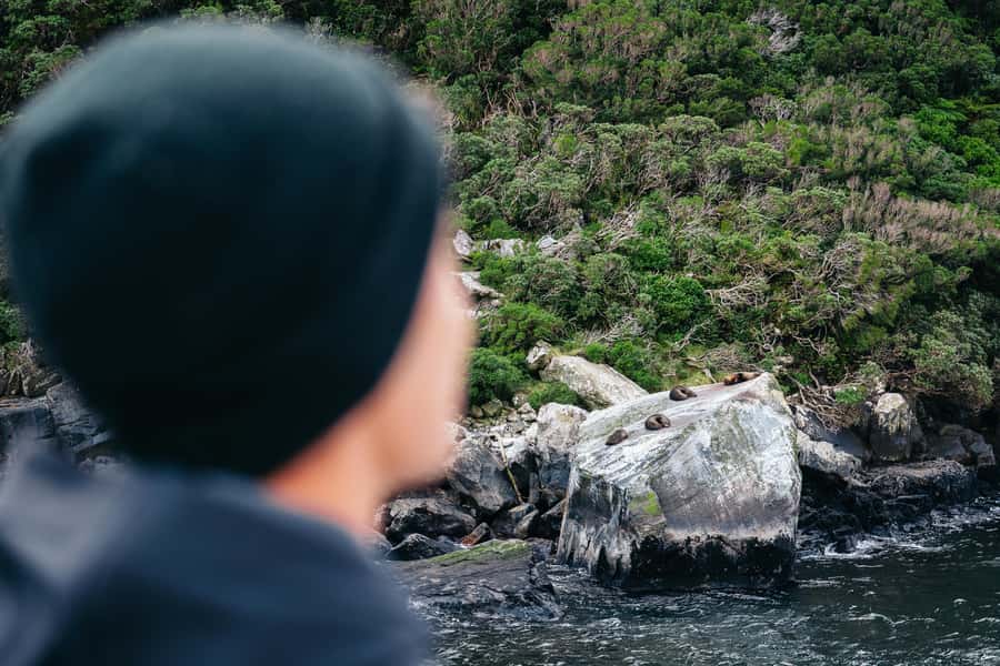 Milford Sound: Nature Cruise on a Modern Catamaran - Indoor comfort and outdoor excitement