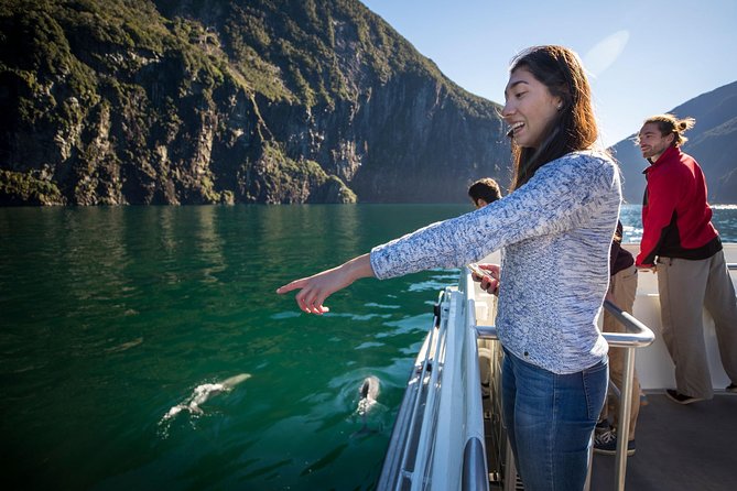 Milford Sound Nature Cruise with Southern Discoveries - Why Milford Sound Looks Different From the Water
