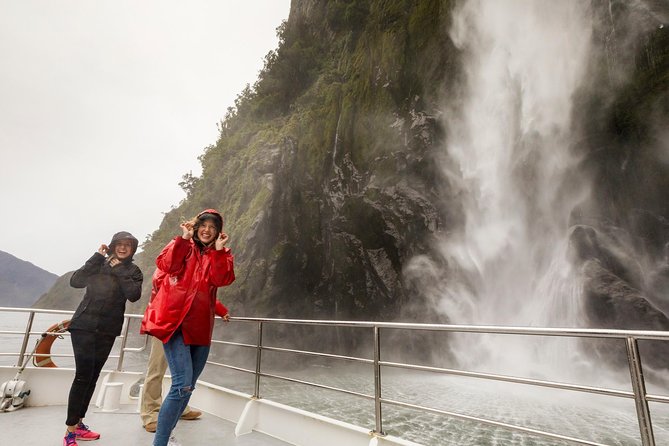 Milford Sound Nature Cruise with Southern Discoveries - Wildlife Along the Rocks and Water
