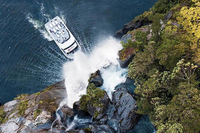 Milford Sound Premium Coach and Cruise with Lunch from Te Anau - What lunch adds to the day
