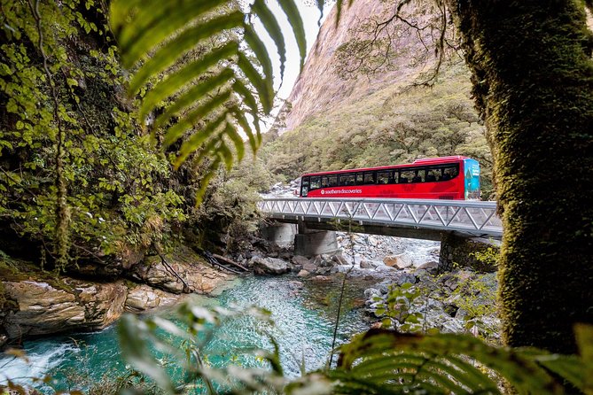Milford Sound Premium Coach & Cruise from Queenstown with Lunch - Monkey Creek and the Homer Tunnel