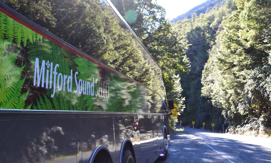 Milford Sound Premium Day Tour and Cruise from Te Anau - A five-minute rainforest walk adds variety