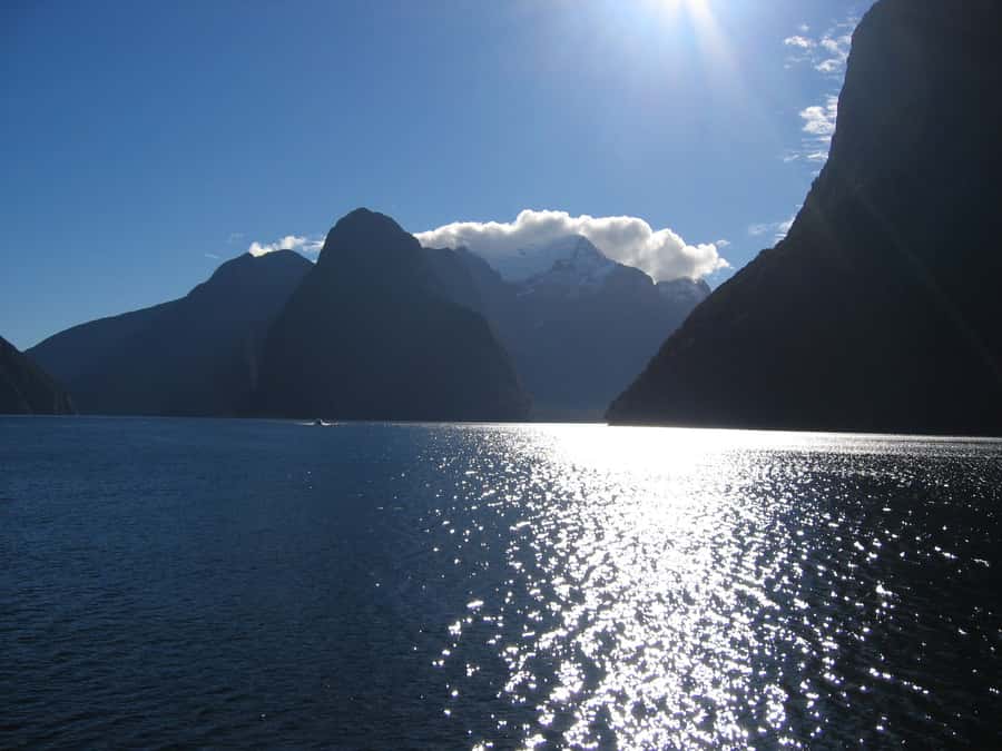 Milford Sound Premium Day Tour and Cruise from Te Anau - Window seating needs a little caution