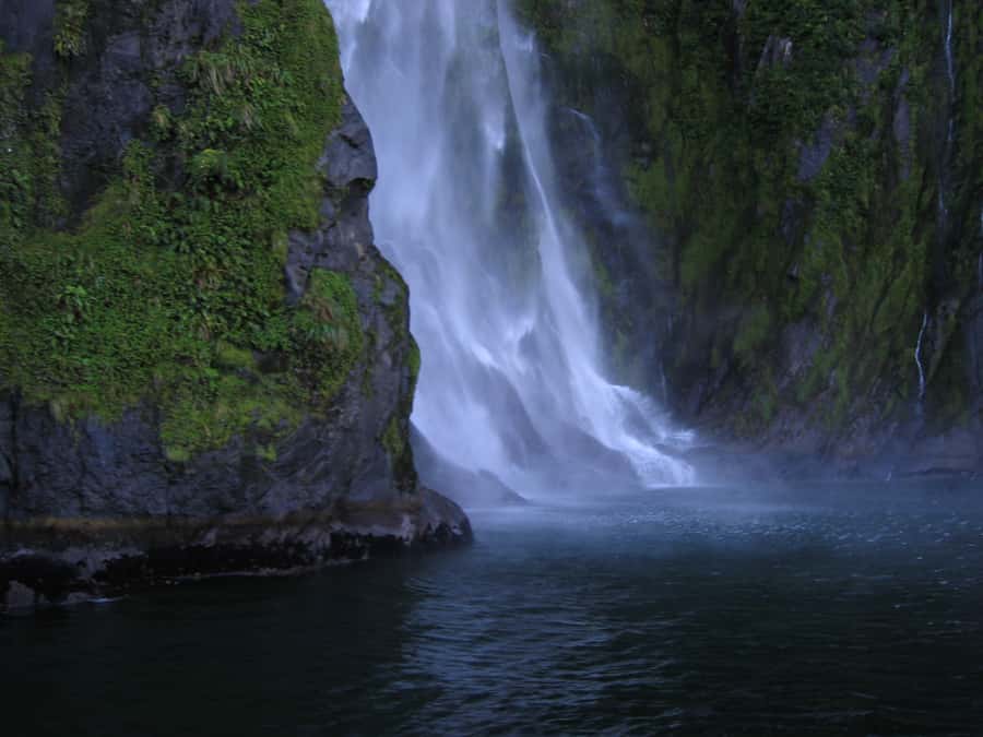 Milford Sound Premium Day Tour and Cruise from Te Anau - Mirror Lakes gives the morning a gentle start