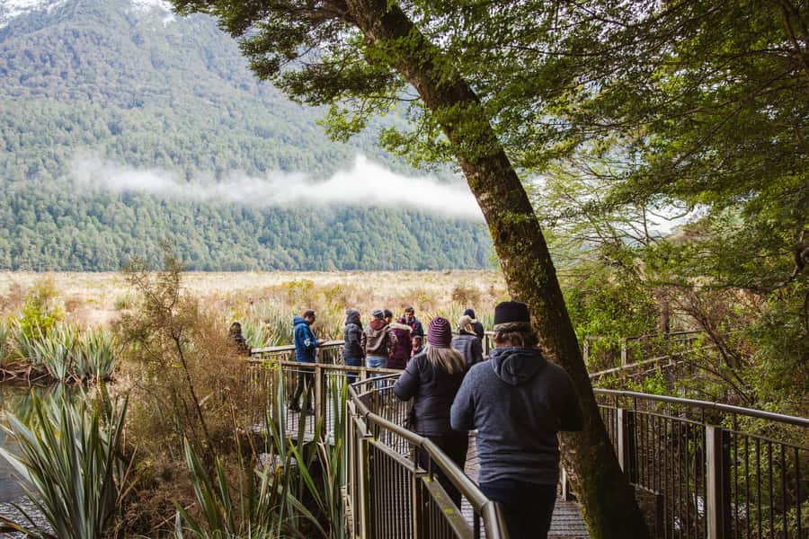 Milford Sound: Premium Small Group Tour from Queenstown - Who should book this tour?