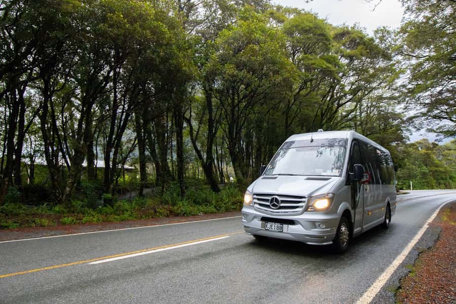 Milford Sound: Premium Small Group Tour from Queenstown - Entering Fiordland National Park on Milford Road