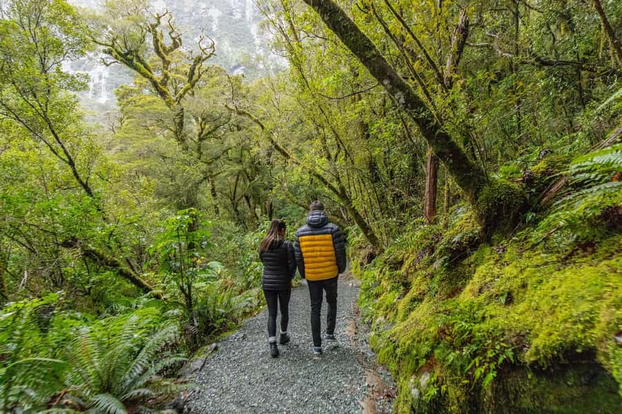 Milford Sound: Premium Small Group Tour from Queenstown - Milford Sound and the two-hour nature cruise