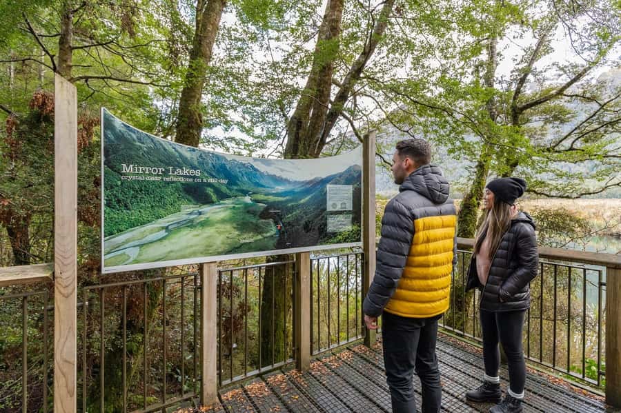 Milford Sound: Premium Small Group Tour from Queenstown - Is $226 good value for Milford Sound?