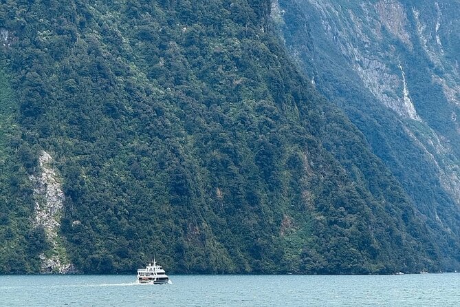 Milford Sound Private Day Trip from Queenstown via Te Anau - Key points to know before booking