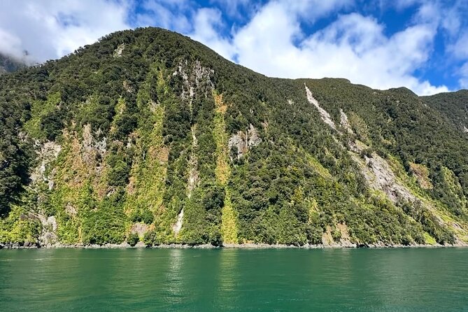 Milford Sound Private Day Trip from Queenstown via Te Anau - What the guides add to the day