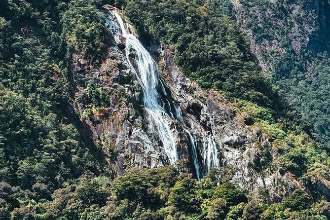 Milford Sound Private Day Trip from Queenstown via Te Anau - Food, timing, and comfort deserve planning