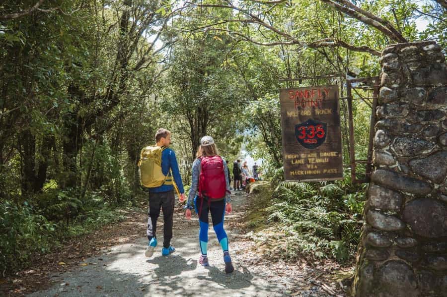 Milford Sound: Self-Guided Milford Track Day Walk - A manageable taste of New Zealand’s Milford Track