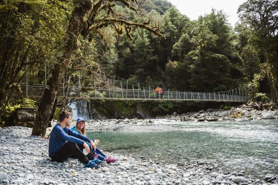 Milford Sound: Self-Guided Milford Track Day Walk - Sandfly Point and the first stretch of track