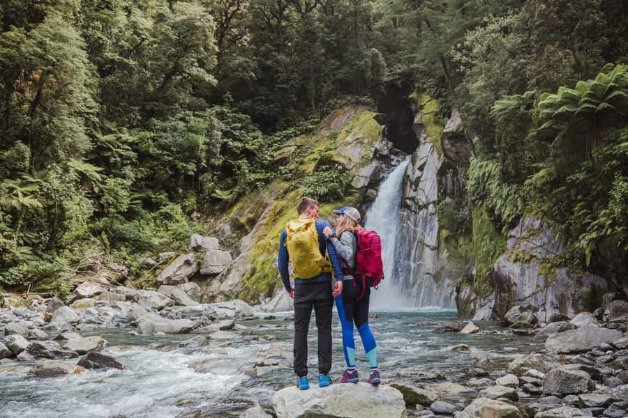 Milford Sound: Self-Guided Milford Track Day Walk - Who should choose this Milford Track outing?