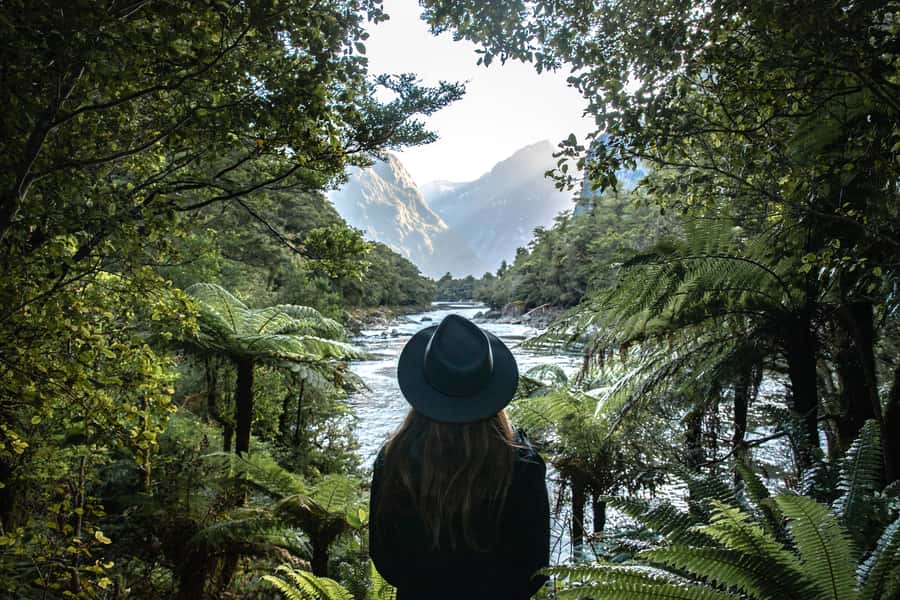 Milford Sound: Self-Guided Milford Track Day Walk - From Deepwater Basin to Sandfly Point