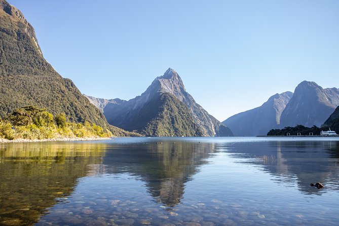 Milford Sound Small Group Tour from Queenstown with Scenic Flight - Why this route works so well