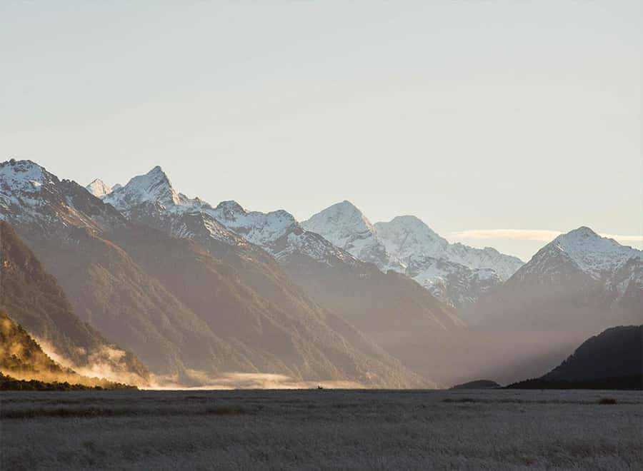 Milford Sound: Small-Group Tour from Te Anau - Should you book this Milford Sound tour?