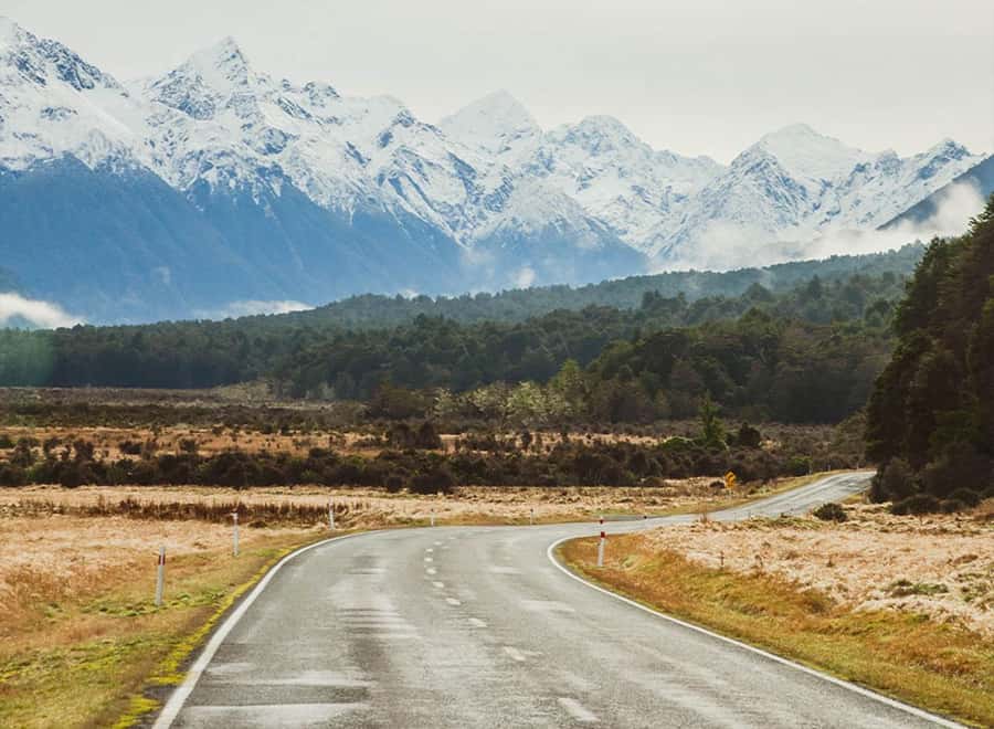 Milford Sound: Small-Group Tour from Te Anau - Food, comfort, and the practical value