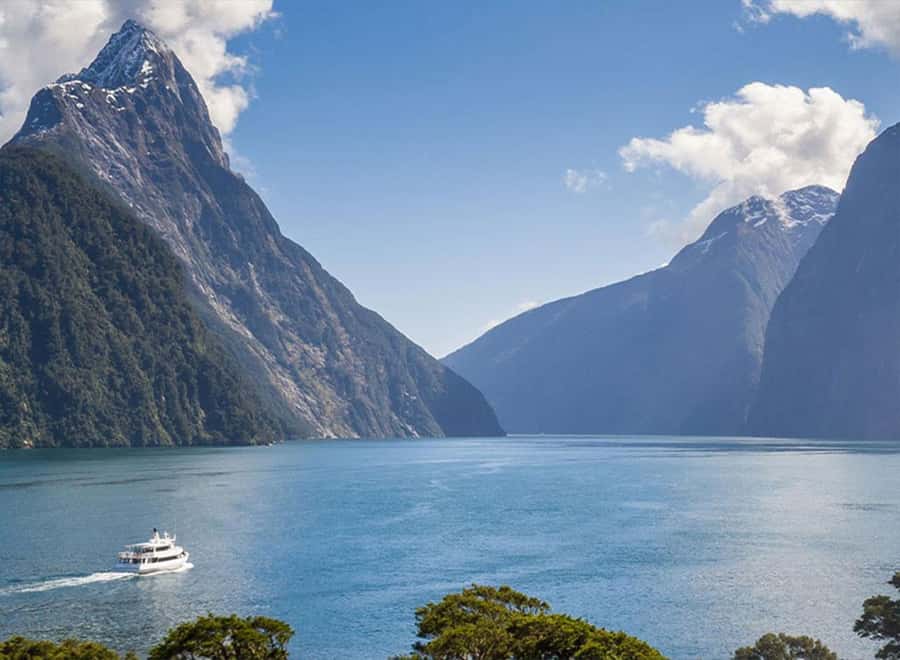 Milford Sound: Small-Group Tour from Te Anau - Scenic stops that break up the drive